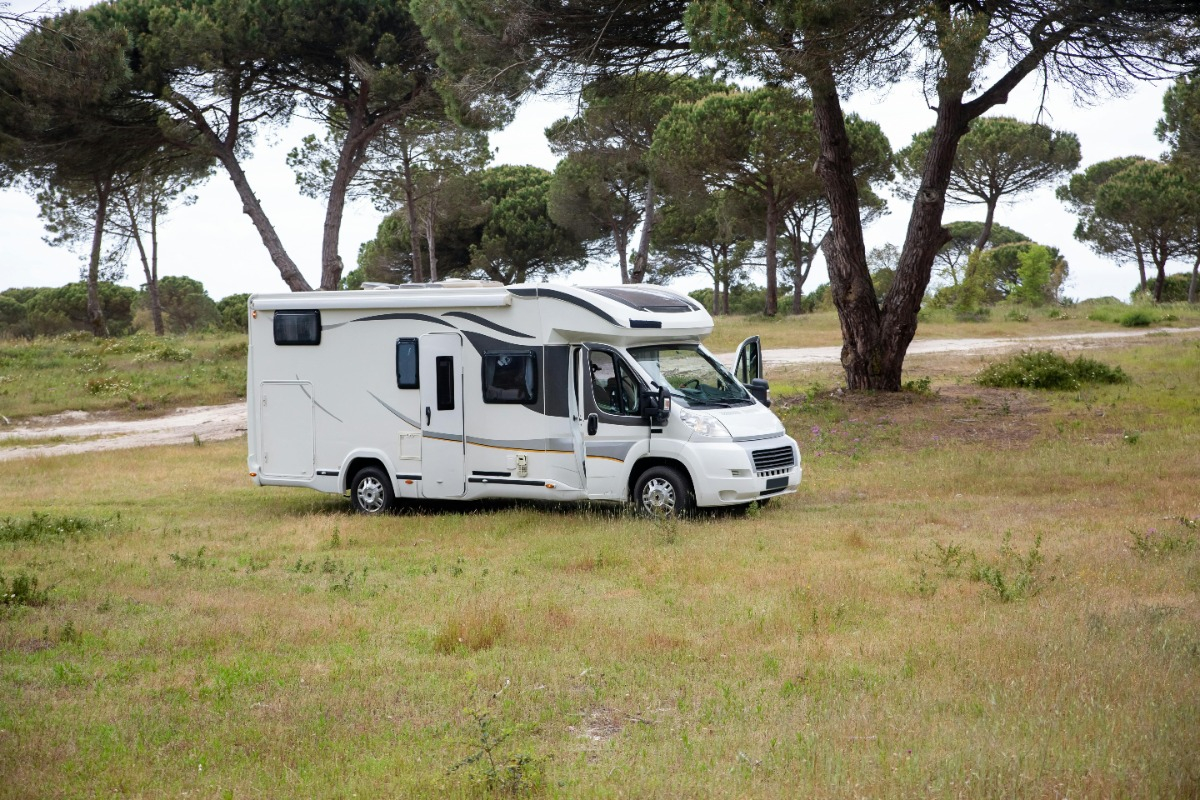 How to Keep Insects Out of Your RV | Berryland Campers