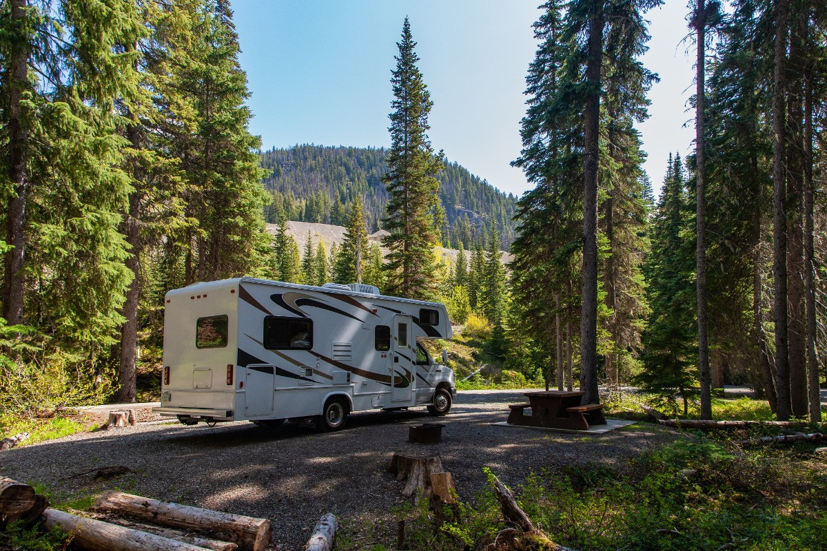 RV parked in beautiful woodland area
